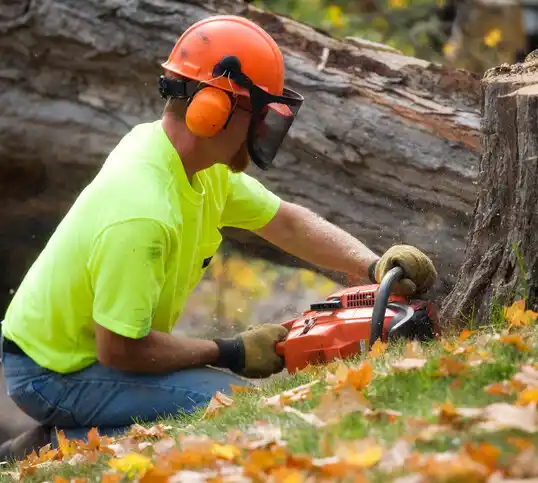 tree services Bowling Green